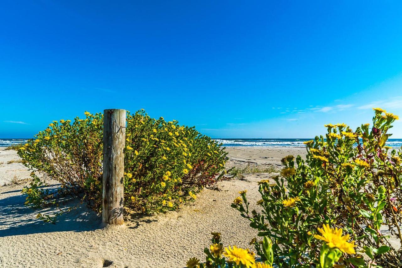 Blue Skies Ahead Quick Walk Into Town And Beach Галвестон Екстер'єр фото